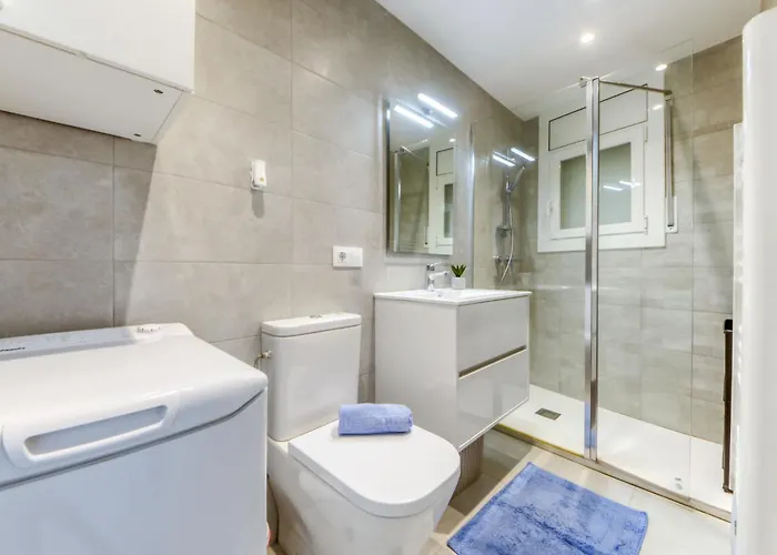 Palmeras By Interhome Roses