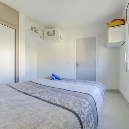 Palmeras By Interhome Roses